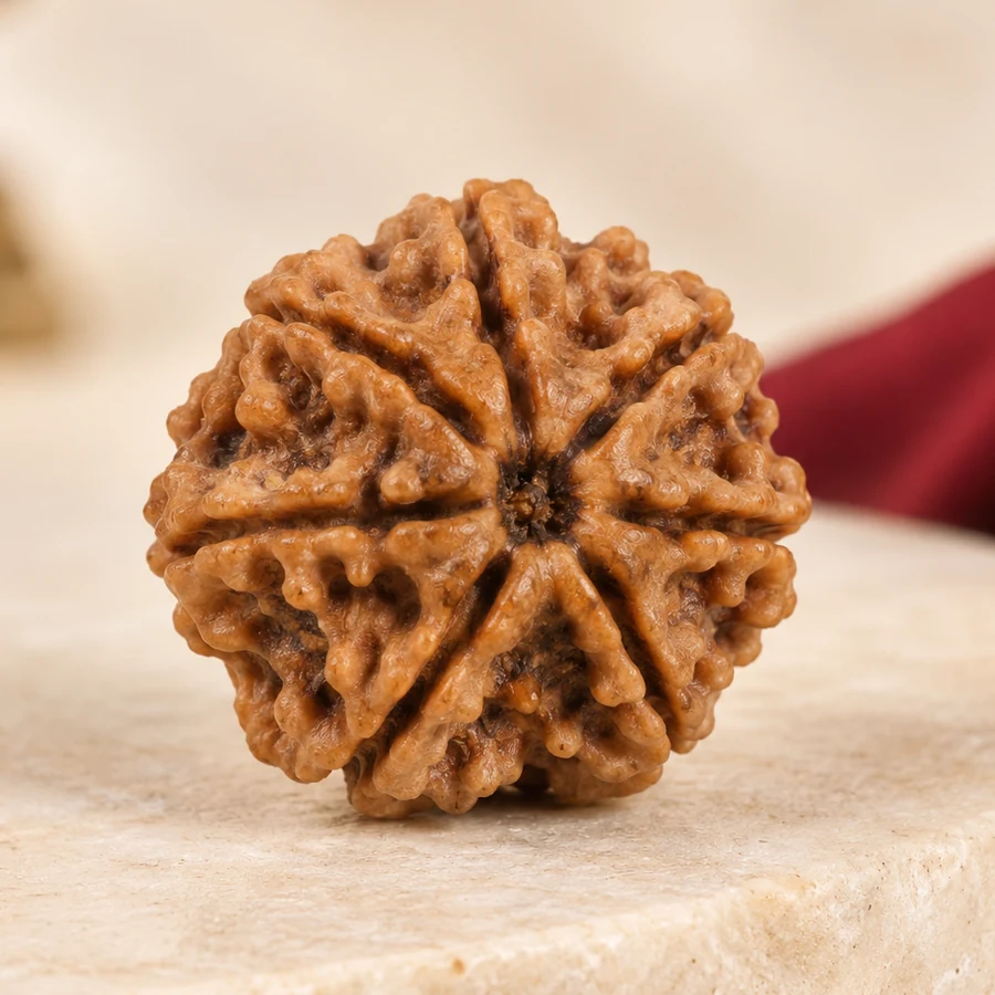 8 Mukhi Rudraksha — Natural Loose Bead — macro material detail; original illustrative product photography