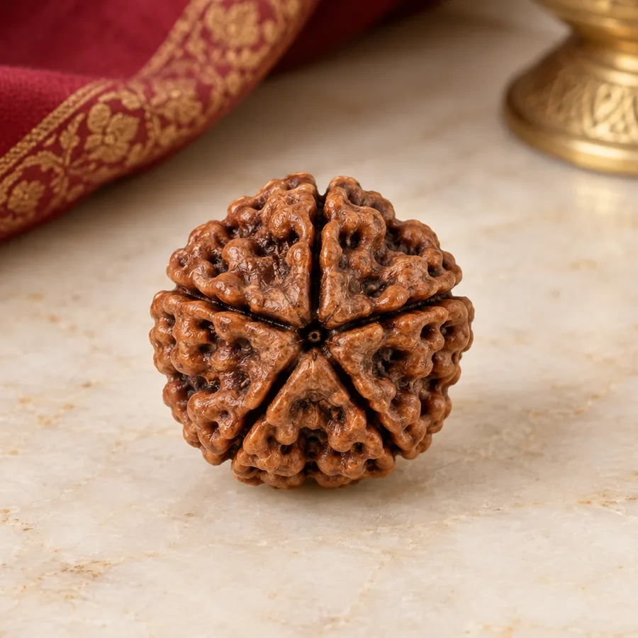 5 Mukhi Rudraksha — Natural Loose Bead — closer product detail; original illustrative product photography
