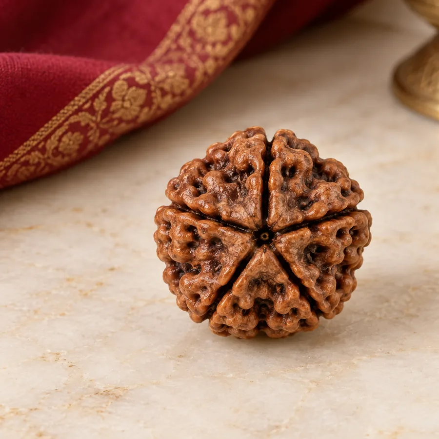 5 Mukhi Rudraksha — Natural Loose Bead — left-framed detail; original illustrative product photography