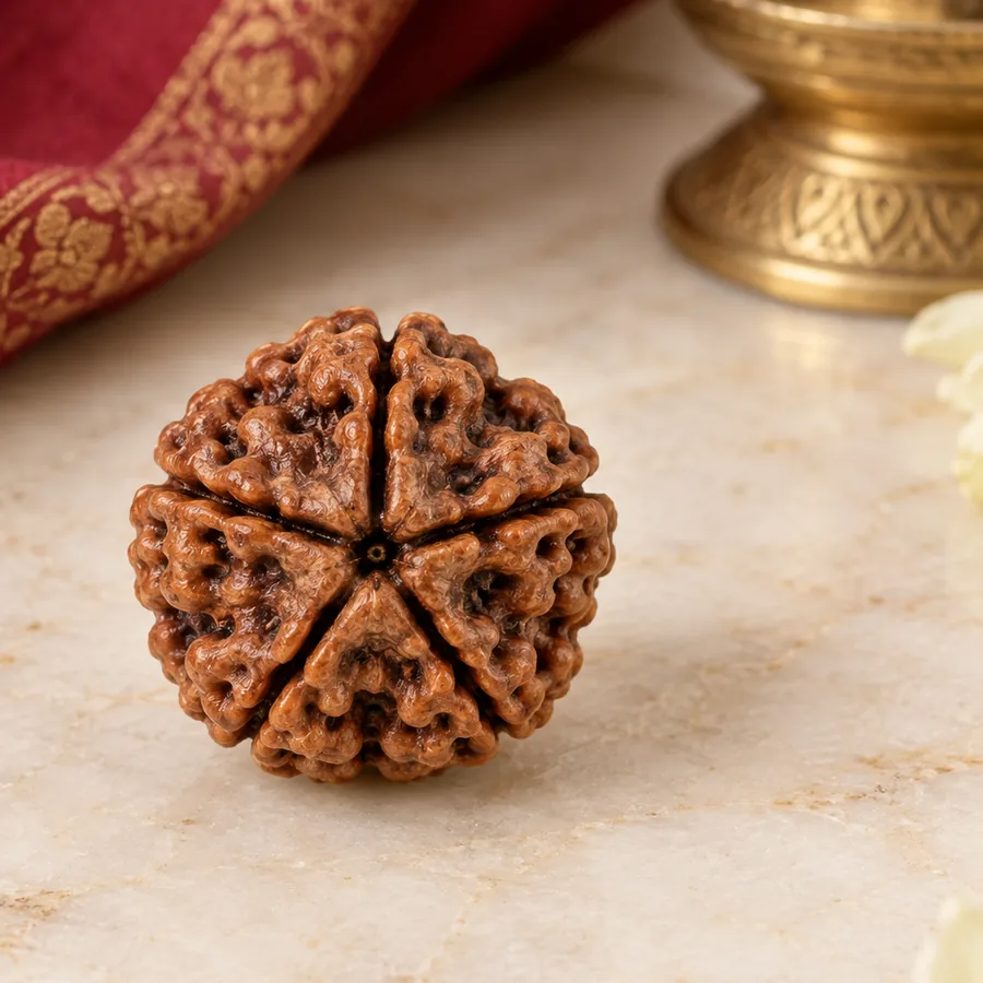5 Mukhi Rudraksha — Natural Loose Bead — right-framed detail; original illustrative product photography