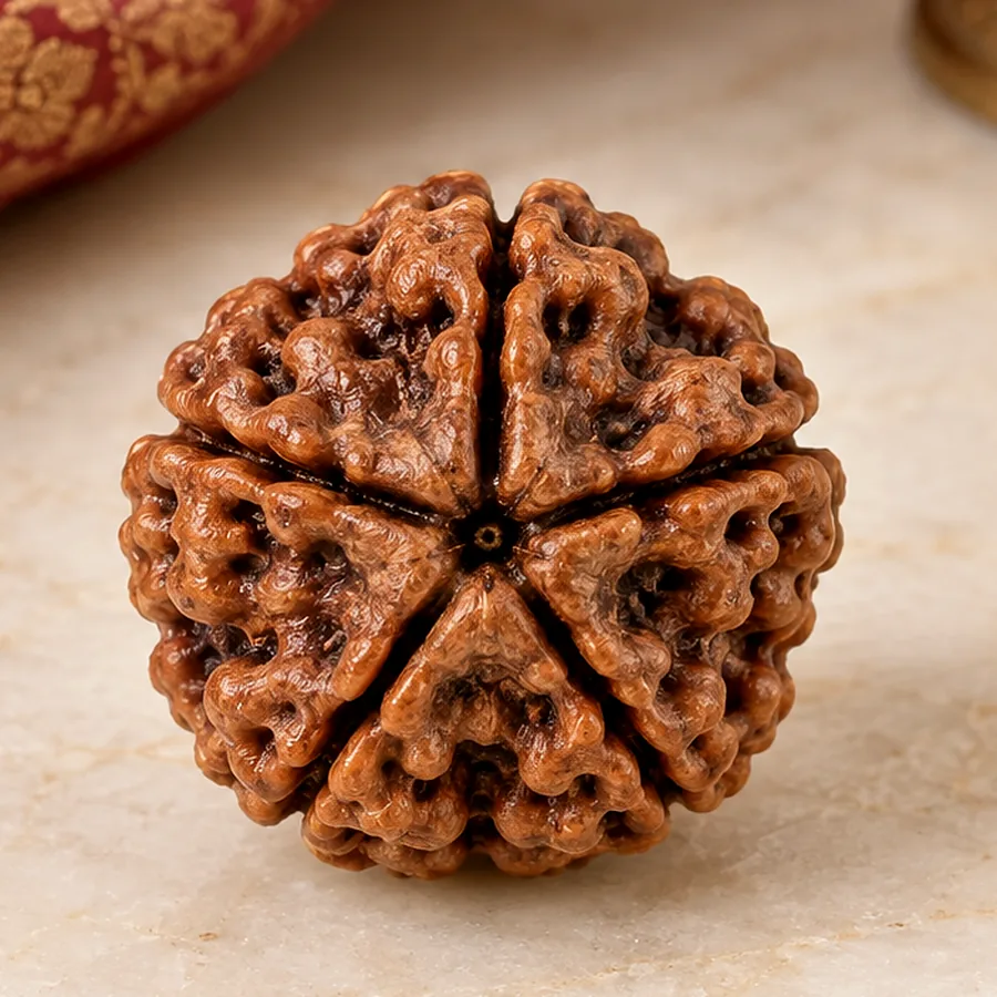 5 Mukhi Rudraksha — Natural Loose Bead — macro material detail; original illustrative product photography