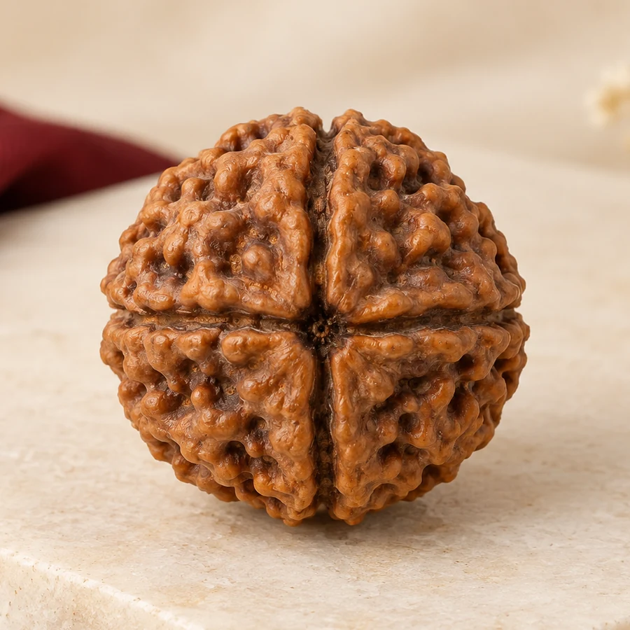 4 Mukhi Rudraksha — Natural Loose Bead — macro material detail; original illustrative product photography