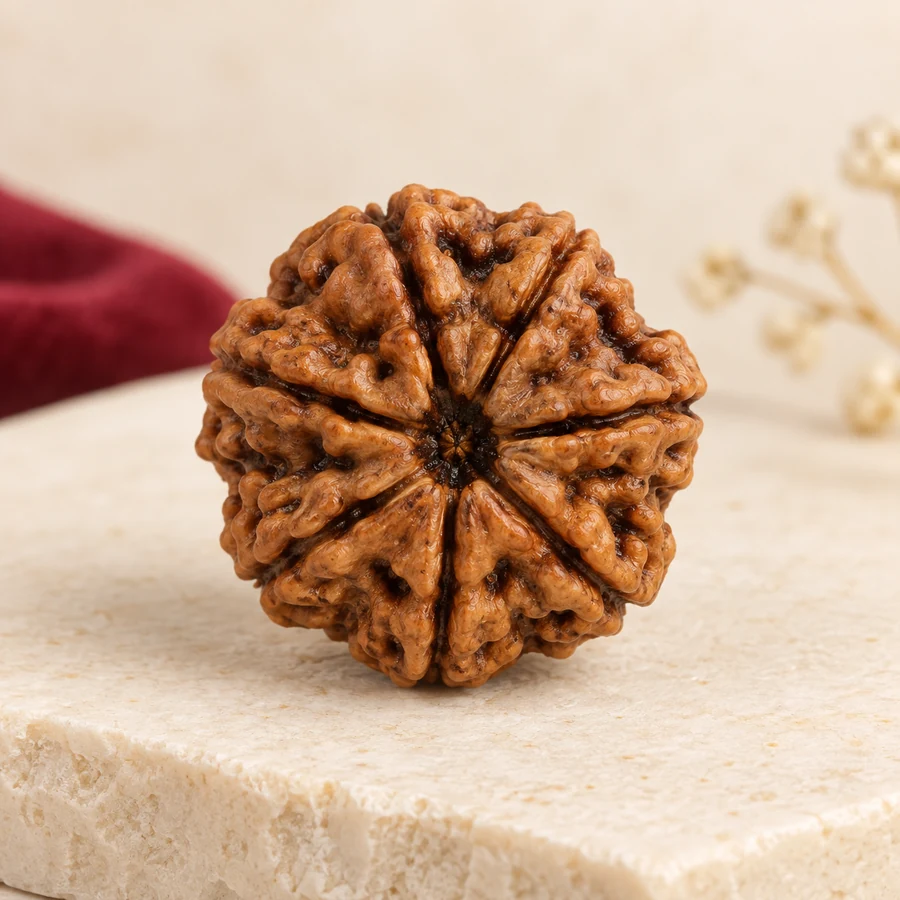 9 Mukhi Rudraksha — Natural Loose Bead — full product view; original illustrative product photography