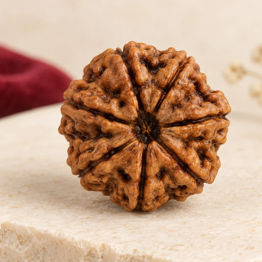 9 Mukhi Rudraksha — Natural Loose Bead — left-framed detail; original illustrative product photography