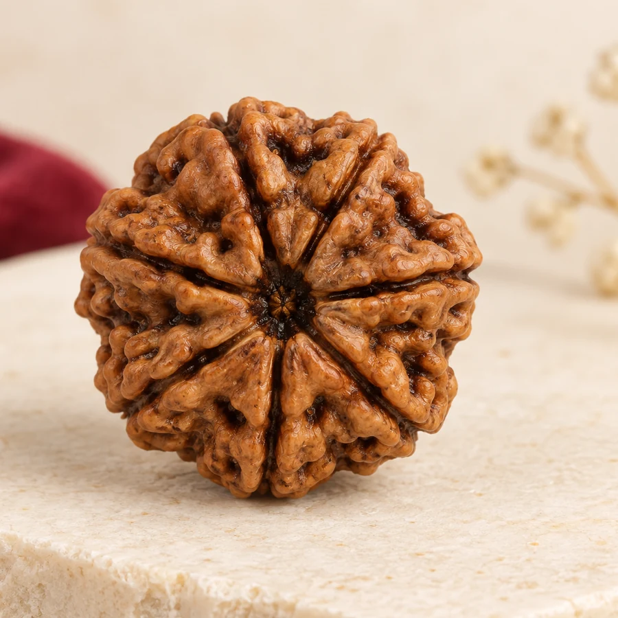 9 Mukhi Rudraksha — Natural Loose Bead — right-framed detail; original illustrative product photography