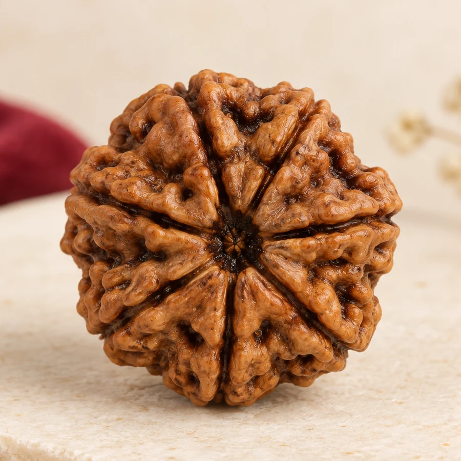9 Mukhi Rudraksha — Natural Loose Bead — macro material detail; original illustrative product photography