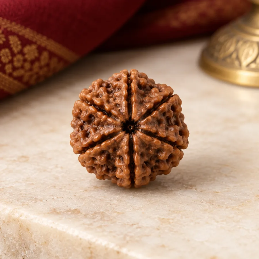 7 Mukhi Rudraksha — Natural Loose Bead — closer product detail; original illustrative product photography