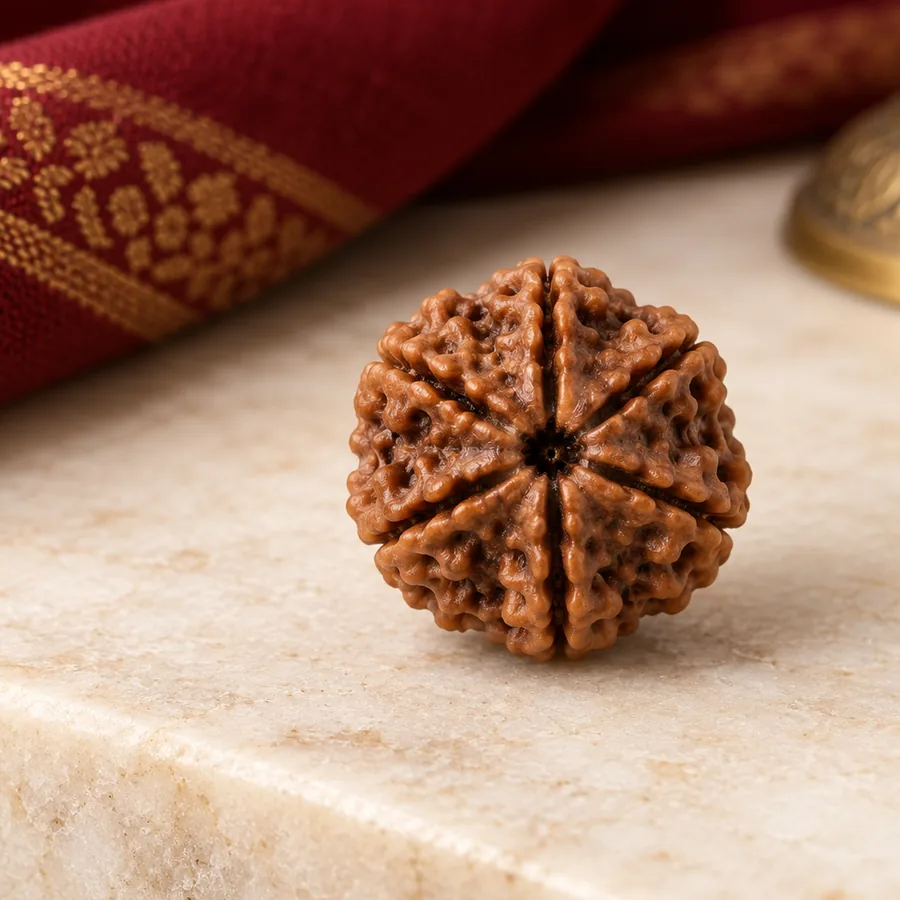 7 Mukhi Rudraksha — Natural Loose Bead — left-framed detail; original illustrative product photography