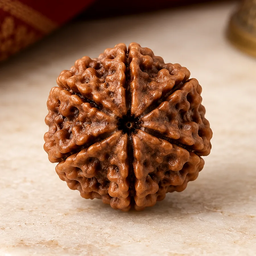 7 Mukhi Rudraksha — Natural Loose Bead — macro material detail; original illustrative product photography