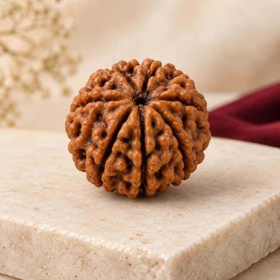 6 Mukhi Rudraksha — Natural Loose Bead — full product view; original illustrative product photography