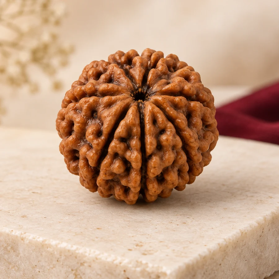 6 Mukhi Rudraksha — Natural Loose Bead — closer product detail; original illustrative product photography