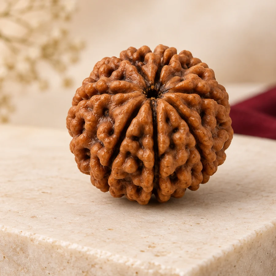 6 Mukhi Rudraksha — Natural Loose Bead — left-framed detail; original illustrative product photography
