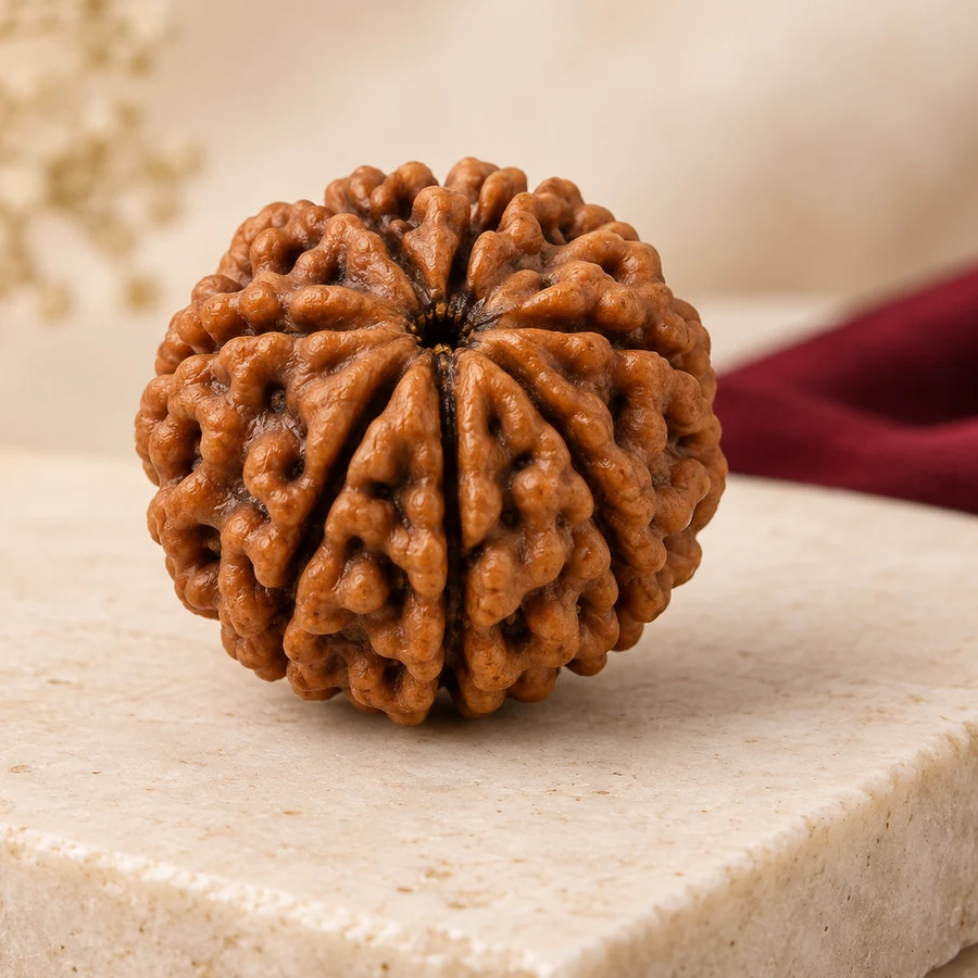 6 Mukhi Rudraksha — Natural Loose Bead — right-framed detail; original illustrative product photography