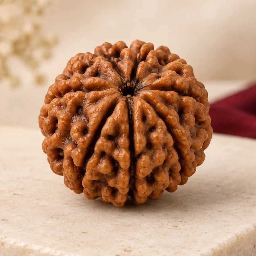 6 Mukhi Rudraksha — Natural Loose Bead — macro material detail; original illustrative product photography
