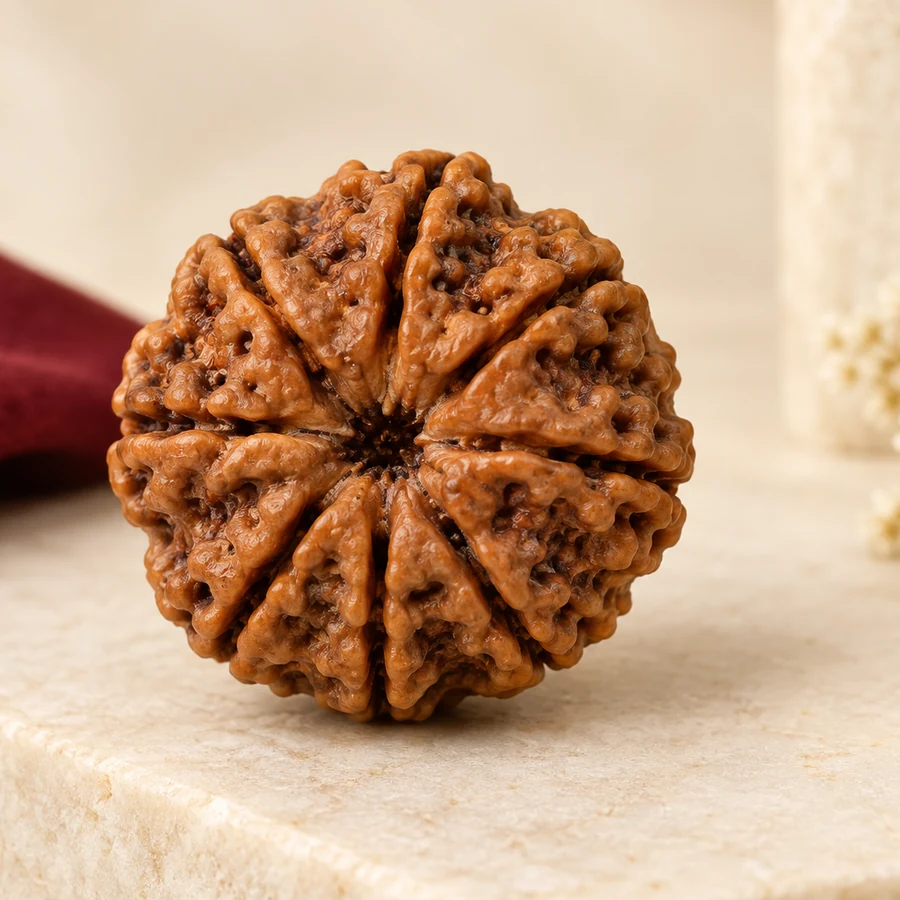 10 Mukhi Rudraksha — Natural Loose Bead — right-framed detail; original illustrative product photography