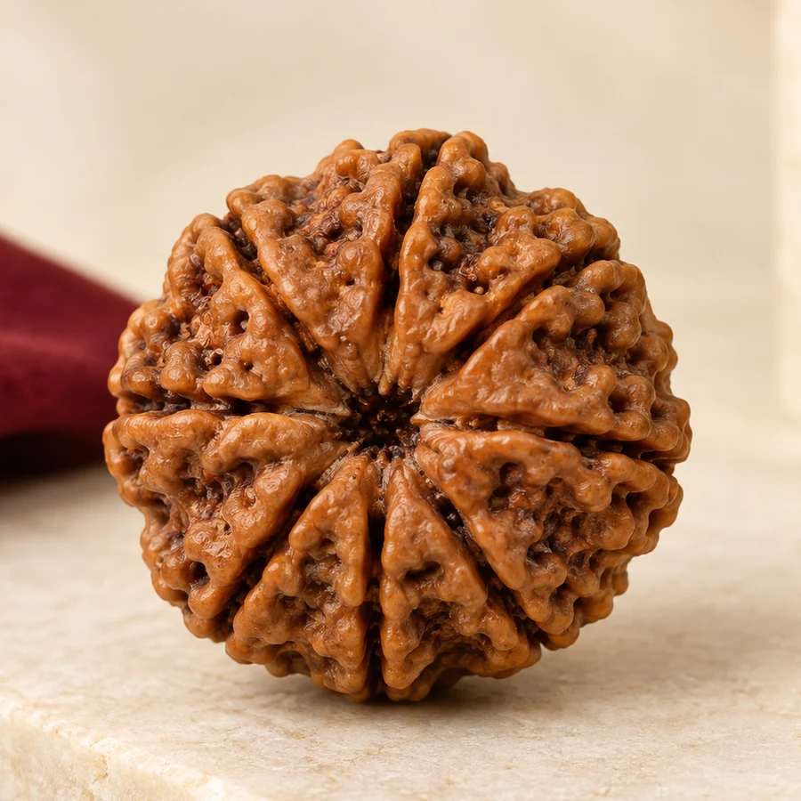 10 Mukhi Rudraksha — Natural Loose Bead — macro material detail; original illustrative product photography